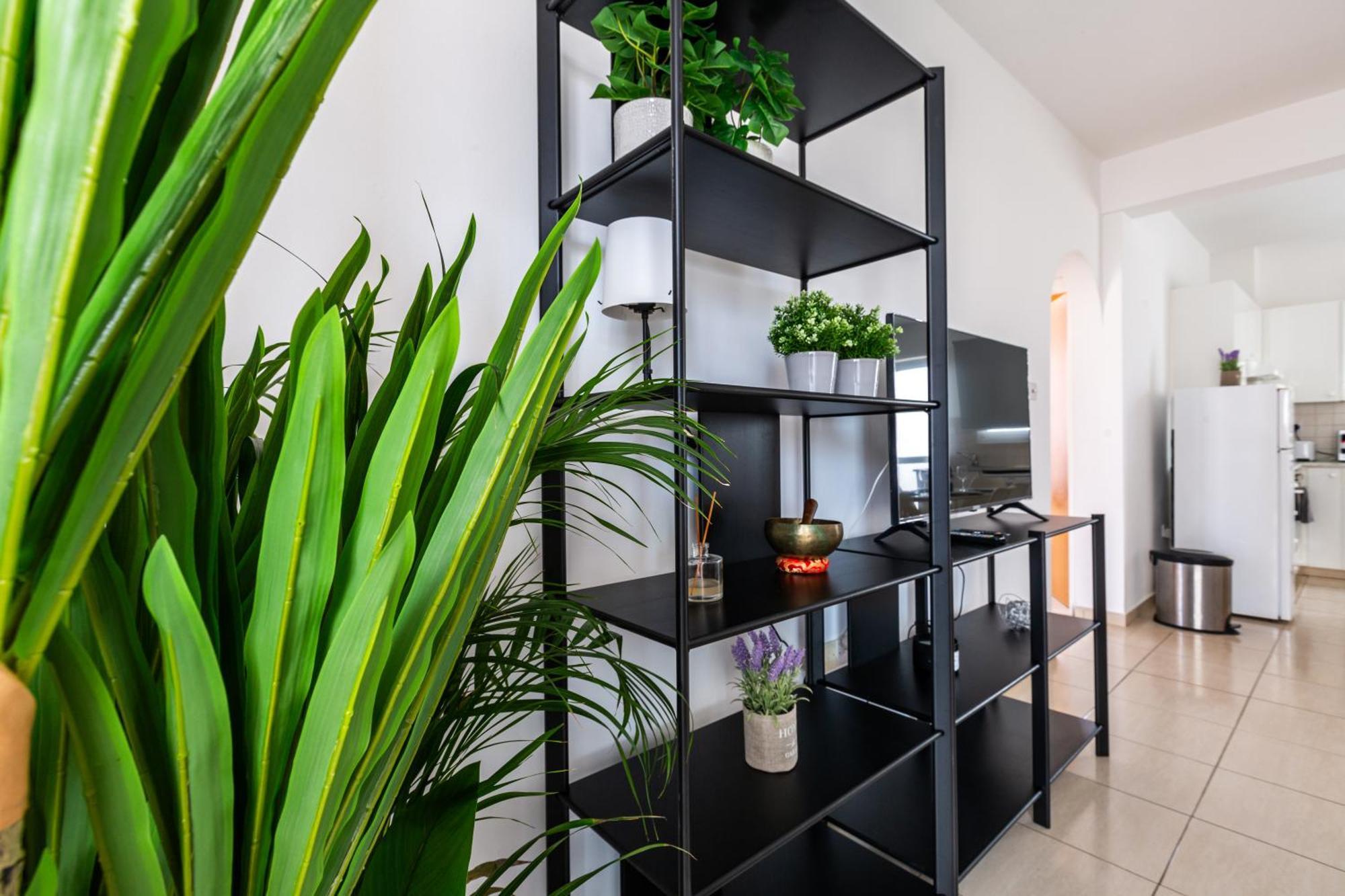 Beautiful 2 bed apartment in Paphos Cyprus Extérieur photo